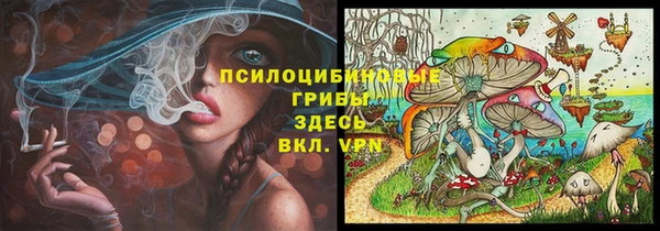 а пвп мука Каменка