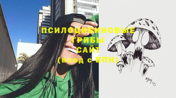 а пвп мука Каменка