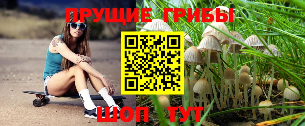 Псилоцибиновые грибы Magic Shrooms Кашира