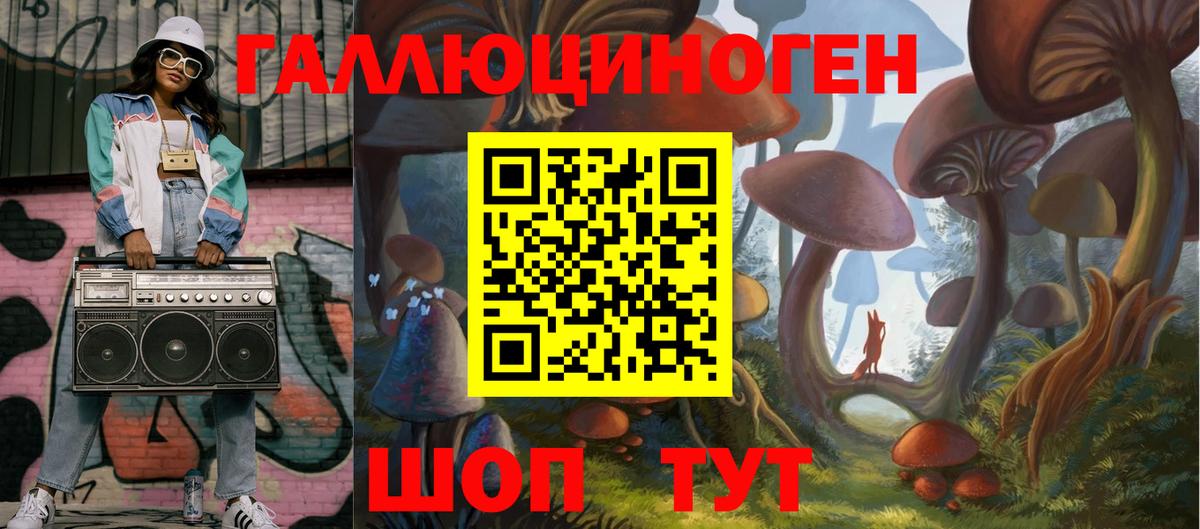 Кашира  Псилоцибиновые грибы Psilocybine cubensis  Вход с VPN  Галлюциногенные грибы Psilocybe 